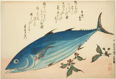 Bonito en saxifrage, uit een ongetitelde serie vissen door Utagawa Hiroshige