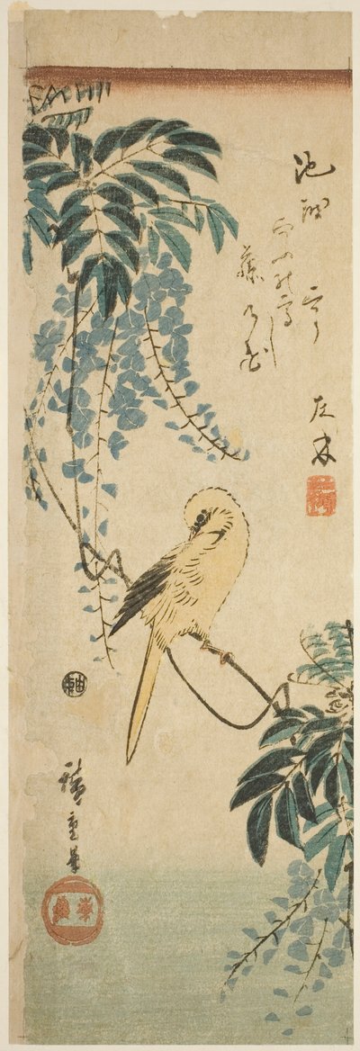 Kanarie en Blauweregen door Utagawa Hiroshige