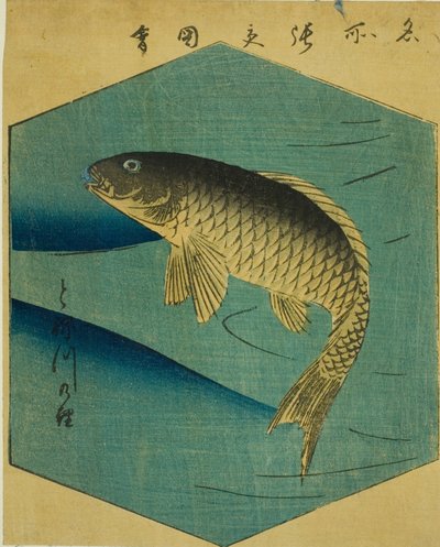 Karper in de Tone-rivier, deel van een blad uit de serie 