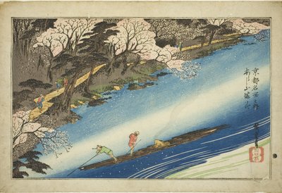 Kersenbloesems in volle bloei in Arashiyama (Arashiyama manka), uit de serie 