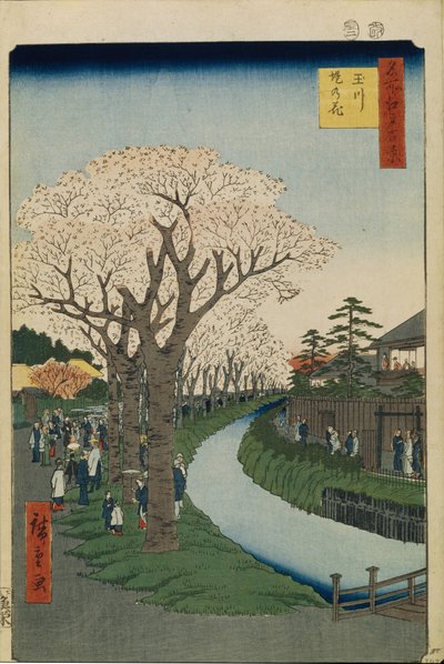 Kersenbloesems aan de oevers van de Tama-rivier Honderd Beroemde Uitzichten van Edo, 1856-1858 door Utagawa Hiroshige