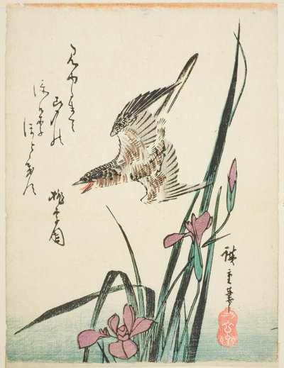 Koekoek vliegend over iris door Utagawa Hiroshige