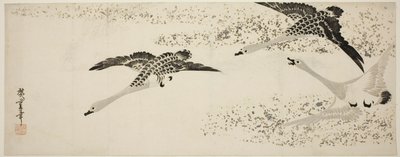 Dalende ganzen door Utagawa Hiroshige