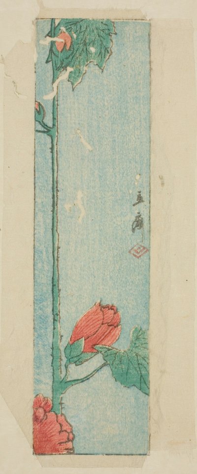 Envelop met hibiscus door Utagawa Hiroshige