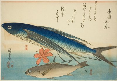 Vliegende vis en Ichimochi, uit een ongetitelde serie van vissen door Utagawa Hiroshige