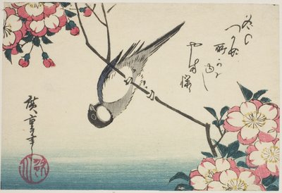 Koolmees op kersenbloesemtak door Utagawa Hiroshige