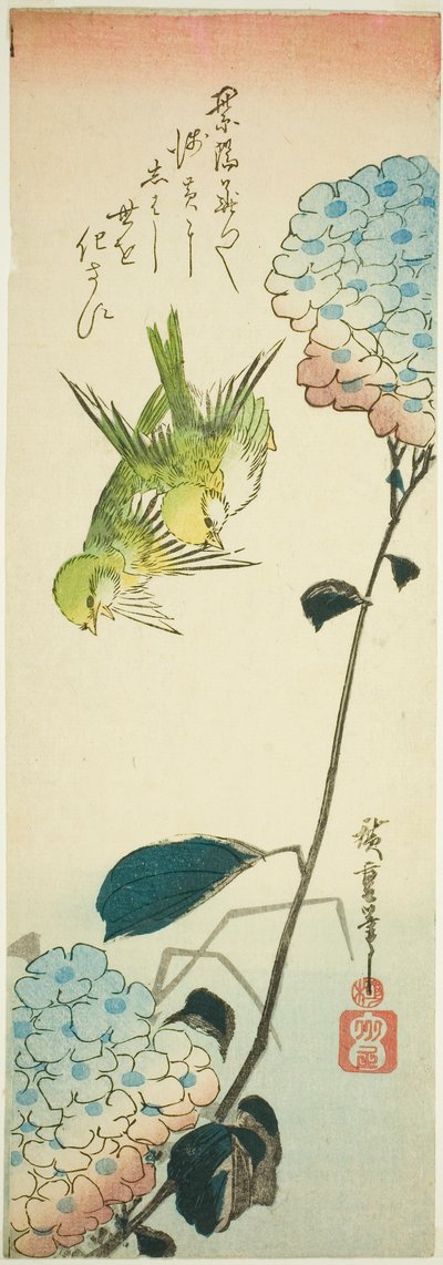 Groene vogels en hortensia