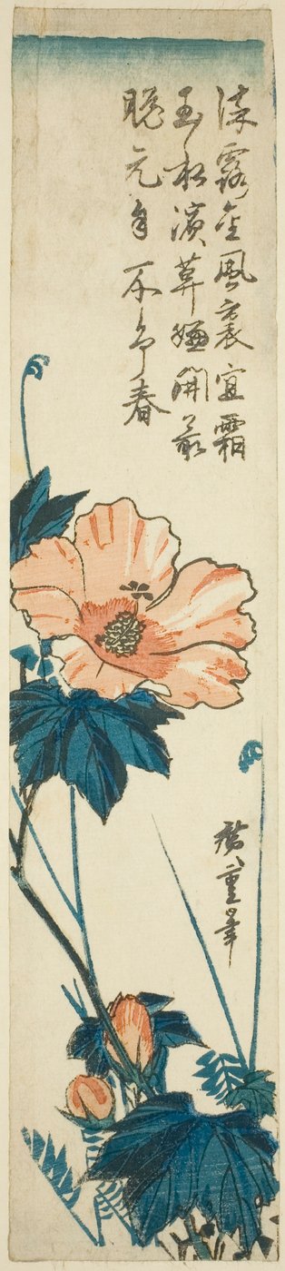 Hibiscus door Utagawa Hiroshige