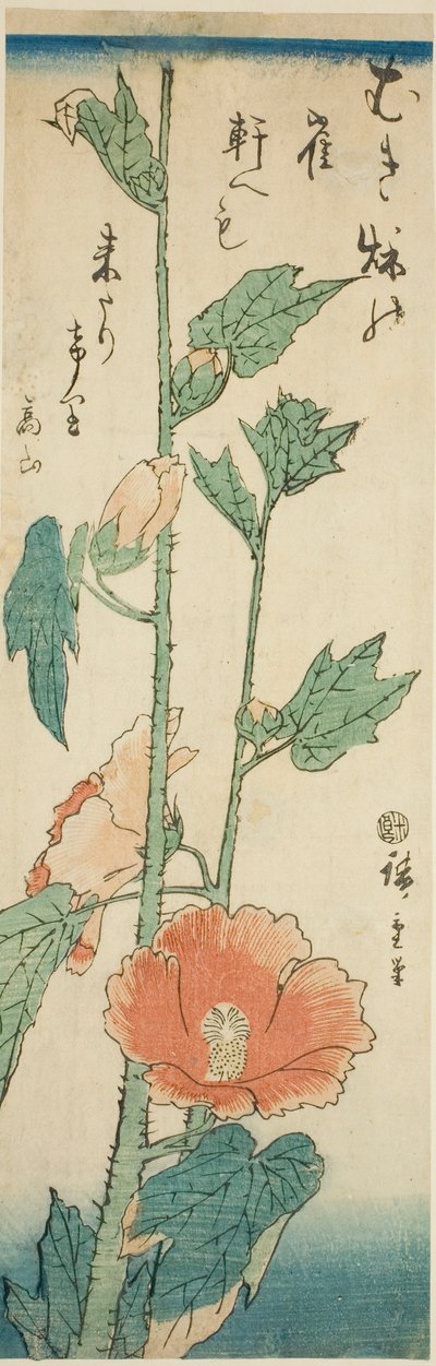 Hibiscus door Utagawa Hiroshige