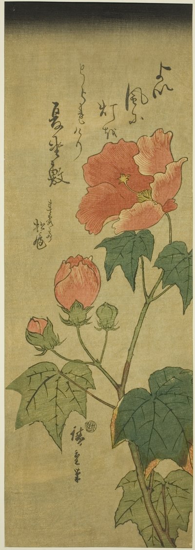 Hibiscus door Utagawa Hiroshige