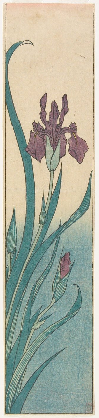 Iris door Utagawa Hiroshige