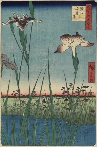 Iristuin in Horikiri, mei 1857 door Utagawa Hiroshige
