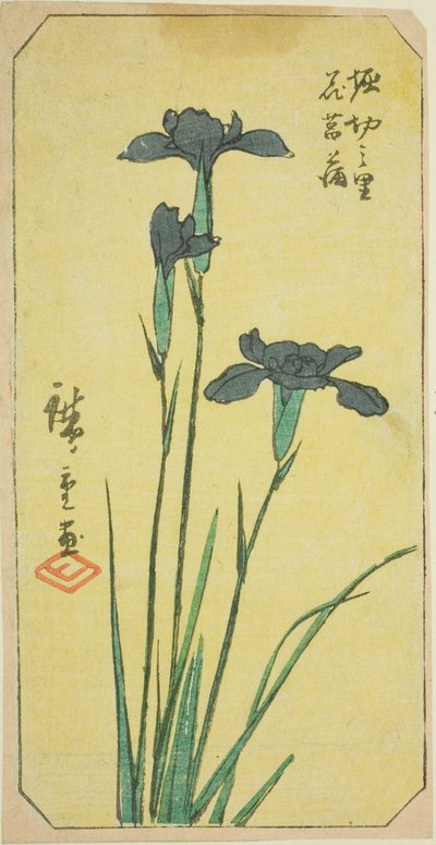 Iris in het Dorp Horikiri (Horikiri no sato hanashobu), deel van een blad uit de serie "Uitgeknipte Afbeeldingen van Beroemde Plaatsen in Edo (Edo meisho harimaze zue)" door Utagawa Hiroshige