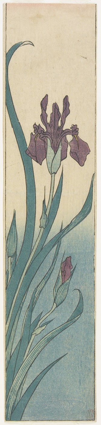 Iris, begin 19e eeuw door Utagawa Hiroshige