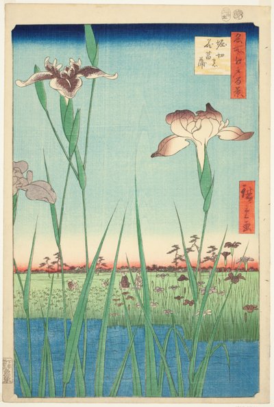 Iris bij Horikiri (Horikiri no hanashobu), uit de serie "Honderd beroemde uitzichten van Edo (Meisho Edo hyakkei)" door Utagawa Hiroshige