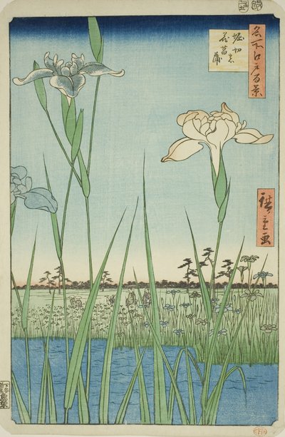 Iris bij Horikiri (Horikiri no hanashobu), uit de serie "Honderd beroemde uitzichten van Edo (Meisho Edo hyakkei)" door Utagawa Hiroshige