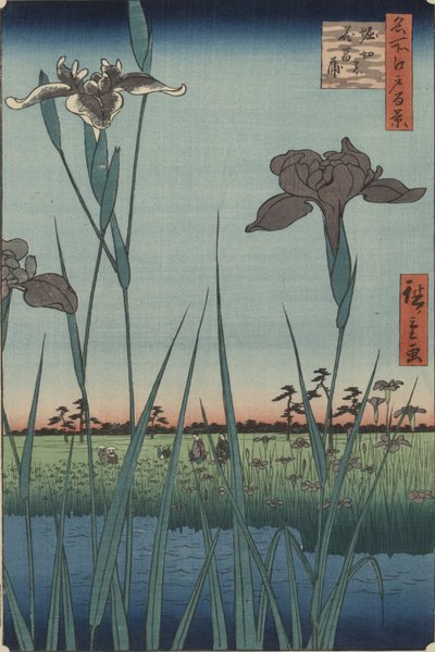 Iris van Horikiri, uit de serie Honderd Beroemde Zichten van Edo door Utagawa Hiroshige