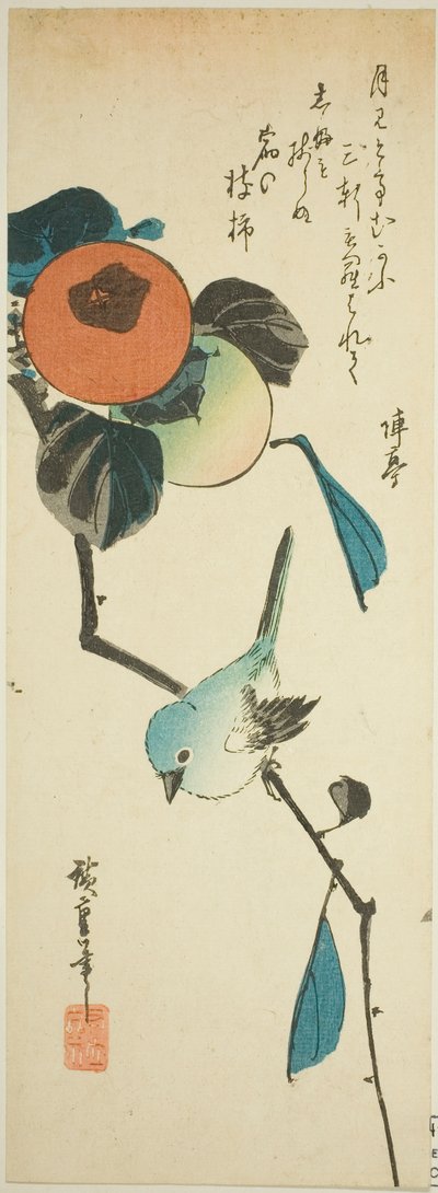 Japanse Witte Oog en Kaki door Utagawa Hiroshige