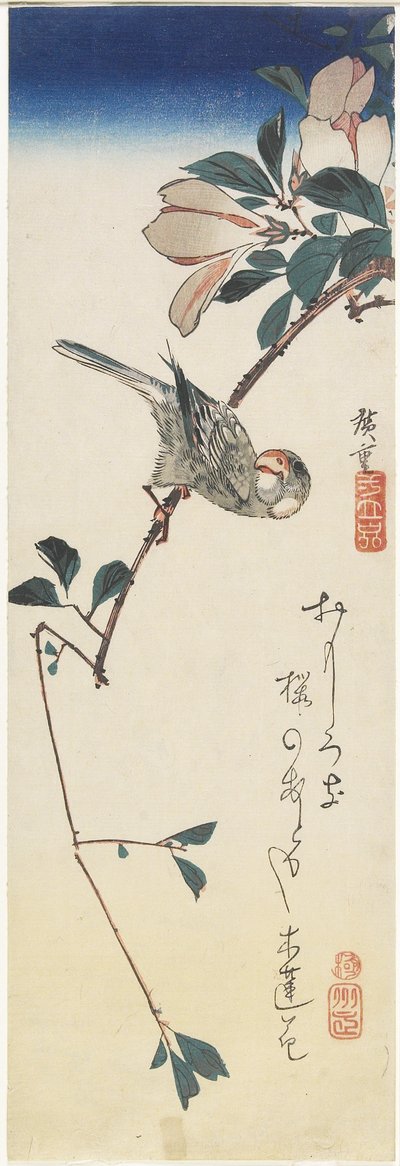 Javaanse mus en magnolia, 1834-1839 door Utagawa Hiroshige