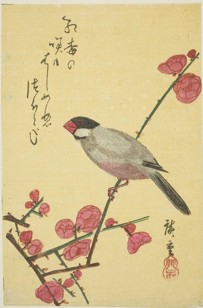 Javaanse mus op pruimentak door Utagawa Hiroshige