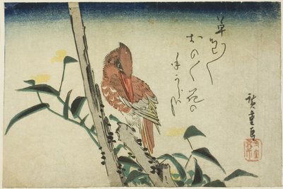 IJsvogel en dagbloem door Utagawa Hiroshige