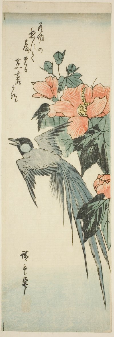 Langstaartige Vogel en Hibiscus door Utagawa Hiroshige
