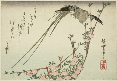 Langstaartvogel en Perzikbloesems door Utagawa Hiroshige