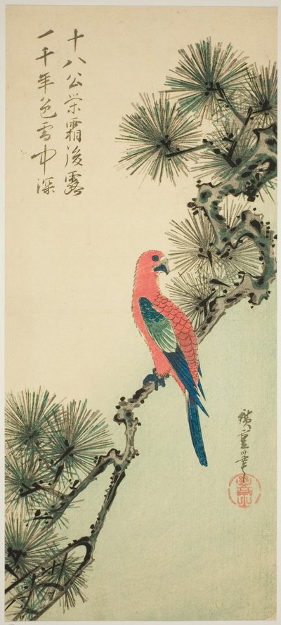 Ara op een dennen tak door Utagawa Hiroshige