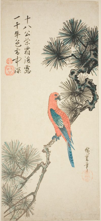 Ara op een dennen tak door Utagawa Hiroshige