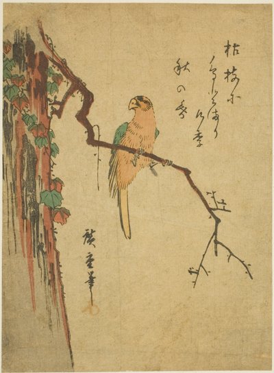 Ara op met klimop bedekte boom door Utagawa Hiroshige