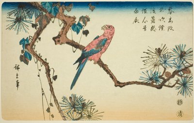 Ara op dennen tak door Utagawa Hiroshige
