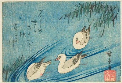 Scholeksters door Utagawa Hiroshige