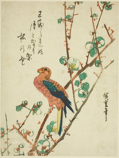 Papegaai op pruimenboom door Utagawa Hiroshige