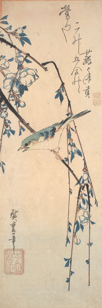 Roodflankblauwstaart op een kersen tak door Utagawa Hiroshige