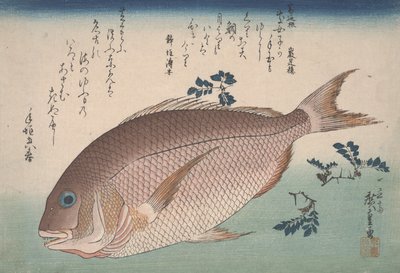 Zeebrasem en Sansho Peper, c.1830 door Utagawa Hiroshige