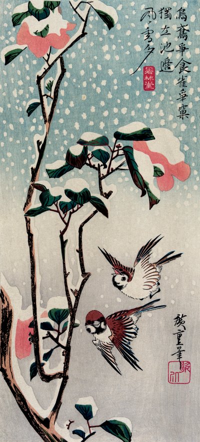 Mussen en camelia