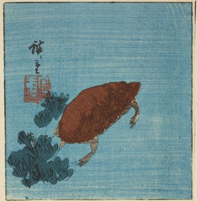 Schildpad door Utagawa Hiroshige