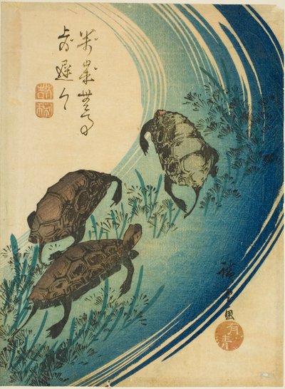 Schildpadden zwemmen in een stroom door Utagawa Hiroshige