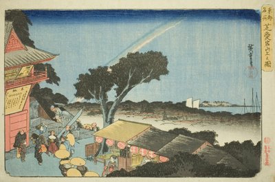 Uitzicht vanaf de top van de berg Atago in Shiba, uit de serie "Beroemde plaatsen in de oostelijke hoofdstad" door Utagawa Hiroshige