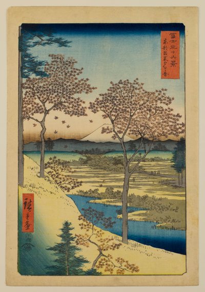  door Utagawa Hiroshige
