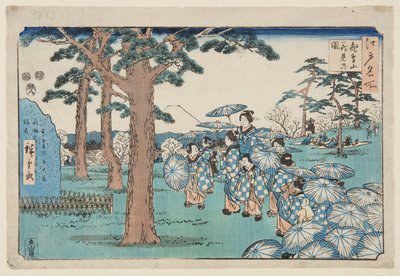 Kersenbloesem bekijken op Asuka-heuvel door Utagawa II Hiroshige