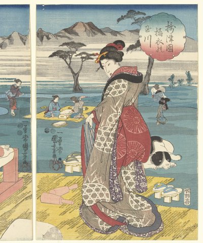 De Toi Tama rivier in de provincie Settsu door Utagawa Kuniyoshi