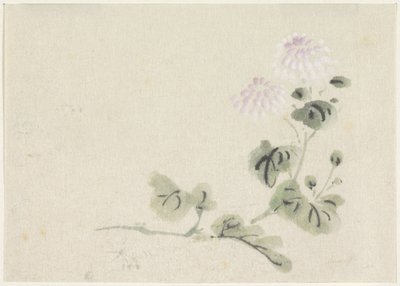 Paars-witte chrysanten door Utagawa Kuniyoshi
