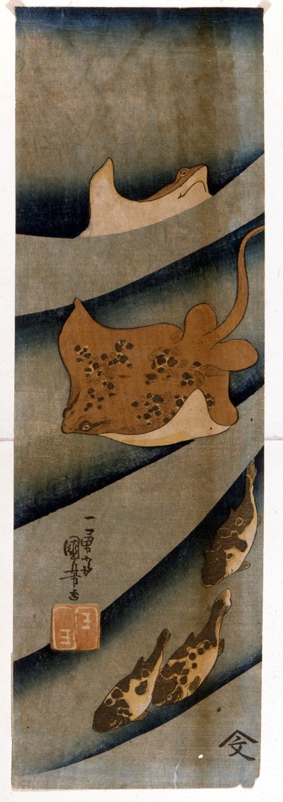 Prenten door Utagawa KUNIYOSHI (1797-1861) die de vis uitbeelden. door Utagawa Kuniyoshi
