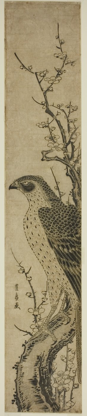 Havik op een kersenboom door Utagawa Toyohiro