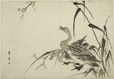 Wilde ganzen en riet door Utagawa Toyohiro