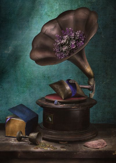 Moody Vintage-grammofoon door Vadim Kulinsky