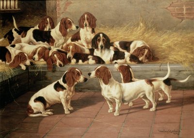 Basset Hounds in een Kennel, 1894 door Valentine Thomas Garland