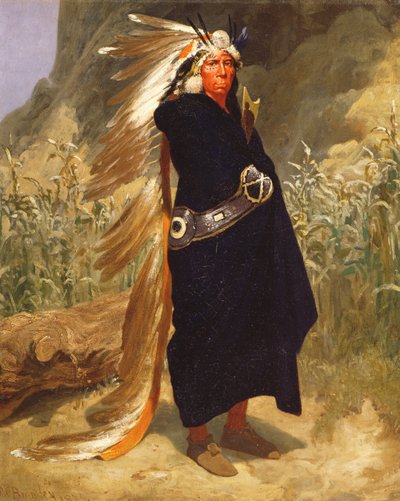 Portret van een Indiaanse Hoofdman, 1875 door Valentine Walter Lewis Bromley