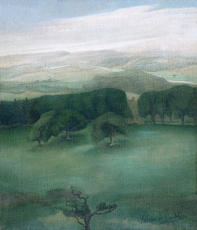 Bergen in Cardiganshire, 1910s door Valerius de Saedeleer